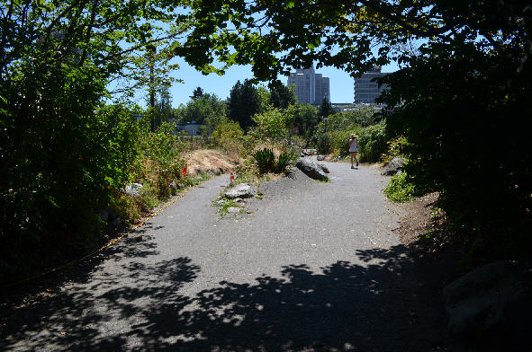 Charleson Park Pedestrian Bridge to 7th and Laurel