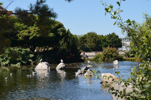 Charleson Park Water Feature