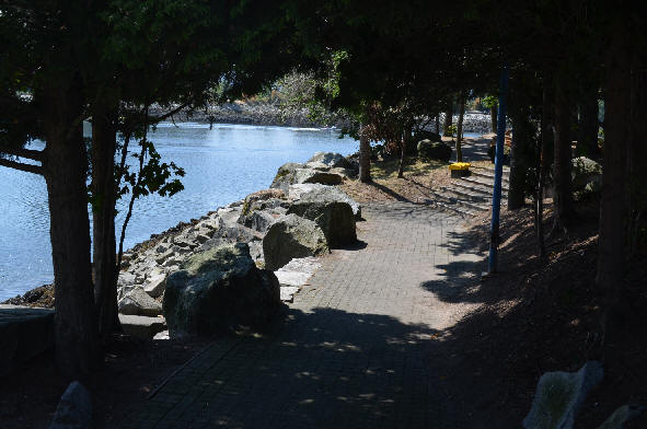 Shady wooded area beside the Plaza of Nations