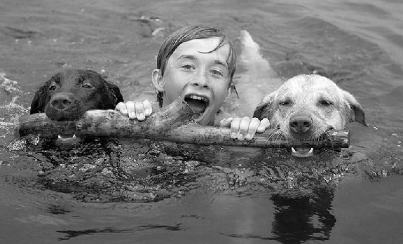 Water boy on stick towed by 2 dogs