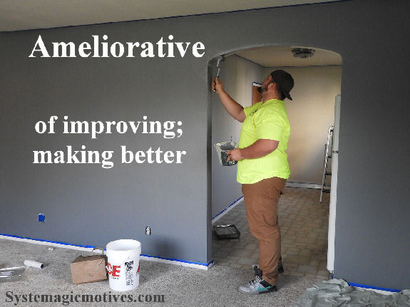 Graphic Definition of Ameliorative
