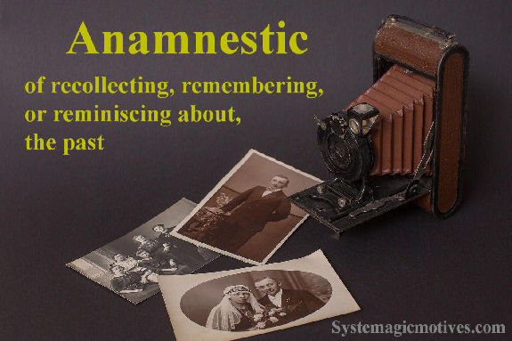 Graphic Definition of Anamnestic