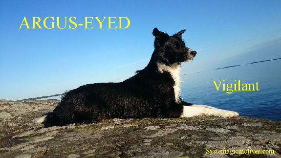 Graphic Definition of 'Argus-eyed'