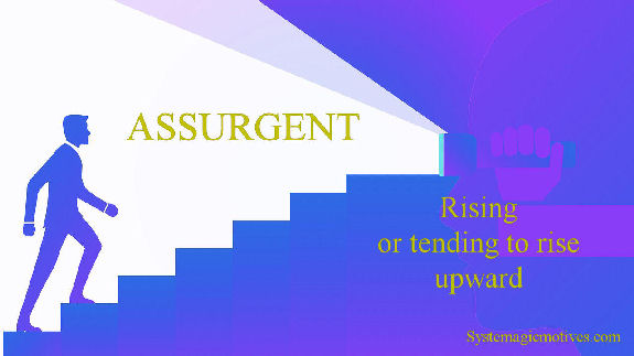 Graphic Definition of Assurgent