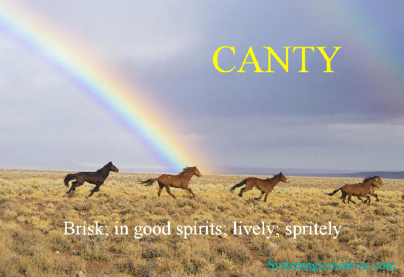 Graphic Definiton of Canty