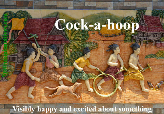 Graphic Definition of Cock-a-hoop