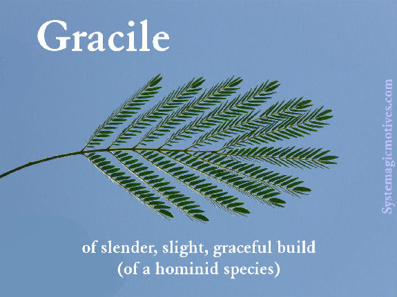 Graphic Definition of Gracile