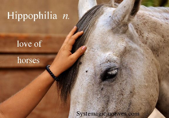 Graphic Definition of Hippophilia