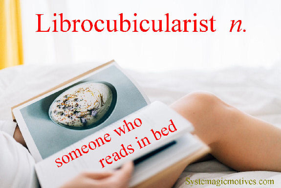 Graphic Definition of Librocubicularist