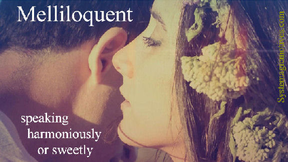 Graphic Definition of Melliloquent