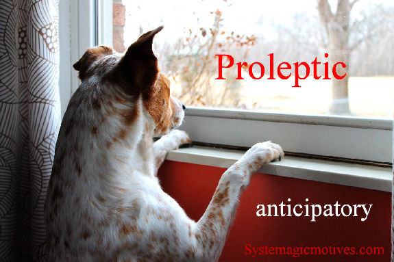 Graphic Definition of Proleptic