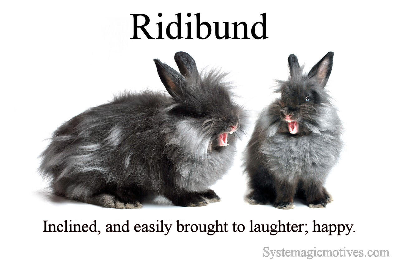 Graphic Definition of Ridibund