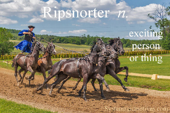 Graphic Definition for Ripsnorter