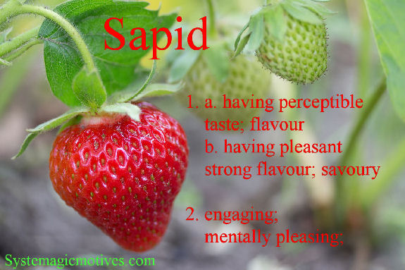 Graphic Definition of Sapid