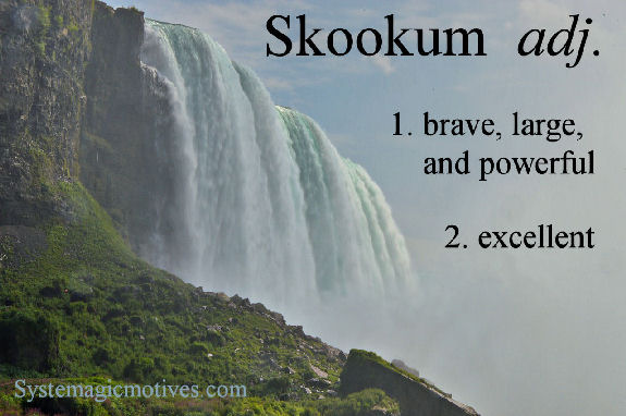 Graphic Definition of Skookum