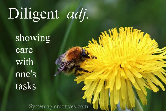Graphic Definition of Diligent
