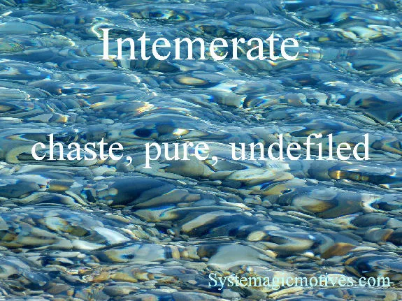 Graphic Definition of Intemerate