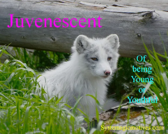 Graphic Definition of Juvenescent
