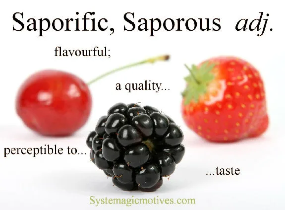 Graphic Definition of Saporific