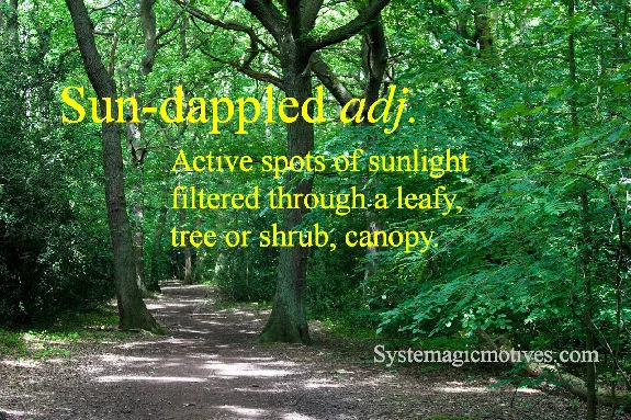 Graphic Definition of Sun-dappled