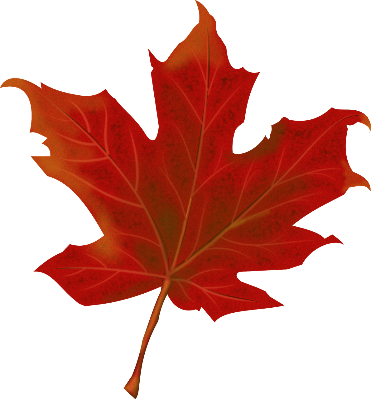 Red Maple Leaf