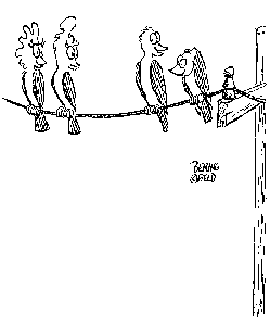 How to Meet Chicks On-Line